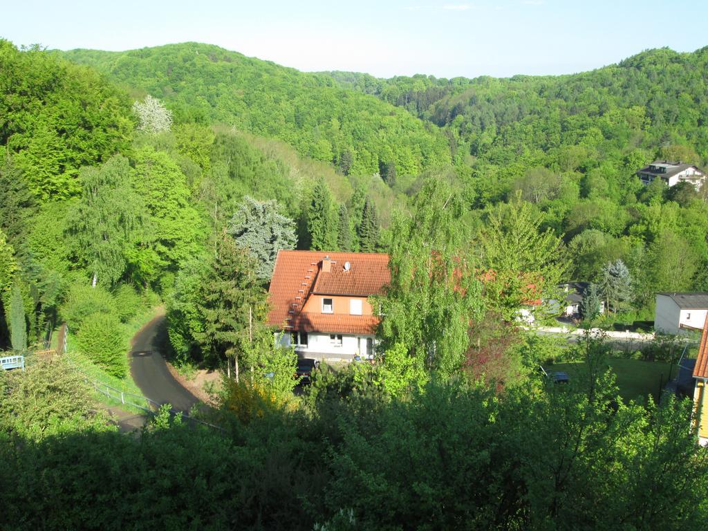 ואלדק Schlossberg Ferienwohnung מראה חיצוני תמונה